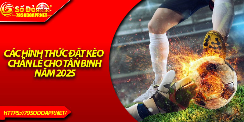 Các hình thức đặt kèo chẵn lẻ cho tân binh năm 2025
