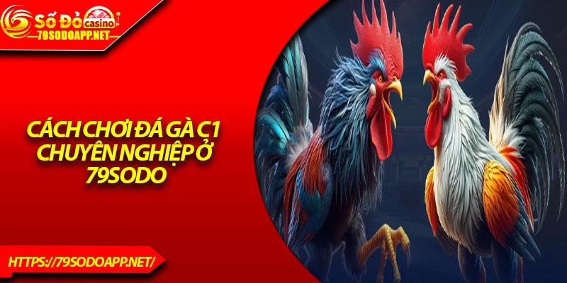 Cách chơi đá gà C1 chuyên nghiệp ở 79Sodo