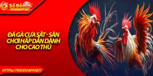 Đá Gà Cựa Sắt - Sân Chơi Hấp Dẫn Dành Cho Cao Thủ 