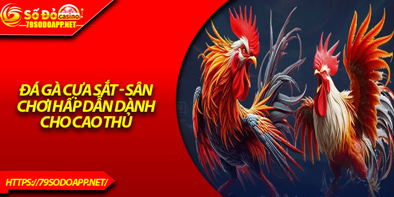 Đá Gà Cựa Sắt - Sân Chơi Hấp Dẫn Dành Cho Cao Thủ 