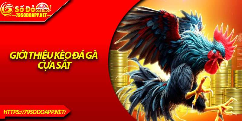 Giới thiệu kèo đá gà cựa sắt