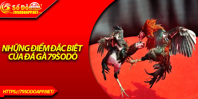 Những điểm đặc biệt của đá gà 79Sodo