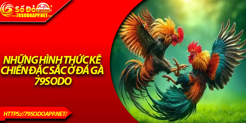 Những hình thức kê chiến đặc sắc ở đá gà 79Sodo