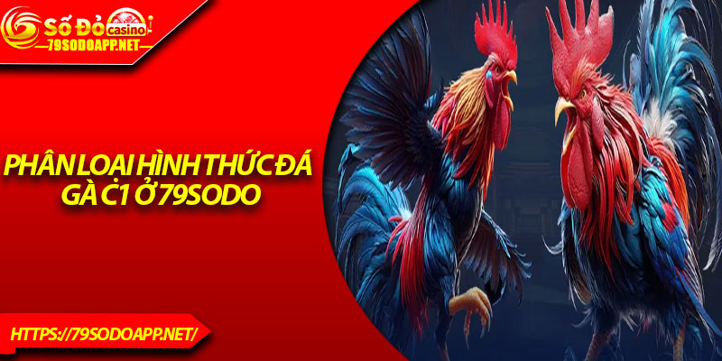 Phân loại hình thức đá gà C1 ở 79Sodo