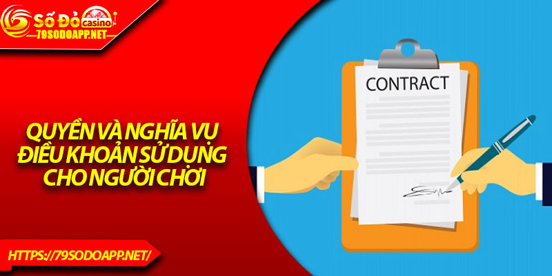 Quyền và nghĩa vụ điều khoản sử dụng cho người chơi