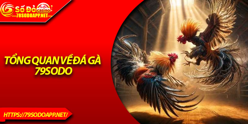 Tổng quan về đá gà 79Sodo